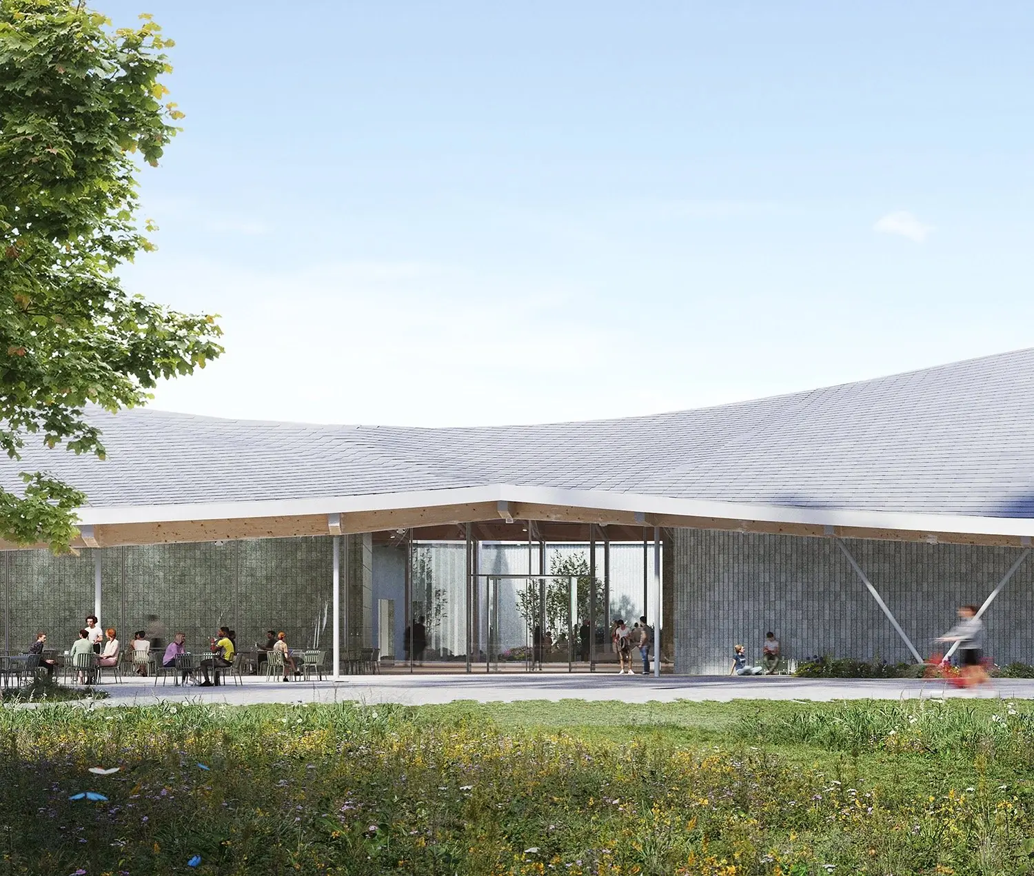 Rendering of the Williams College Museum of Art, a low building with a curved slate roof over timber columns, fronted by a wildflower meadow.